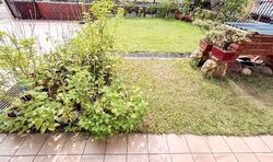 Golden Hill Estate (D19), Terrace #538529591